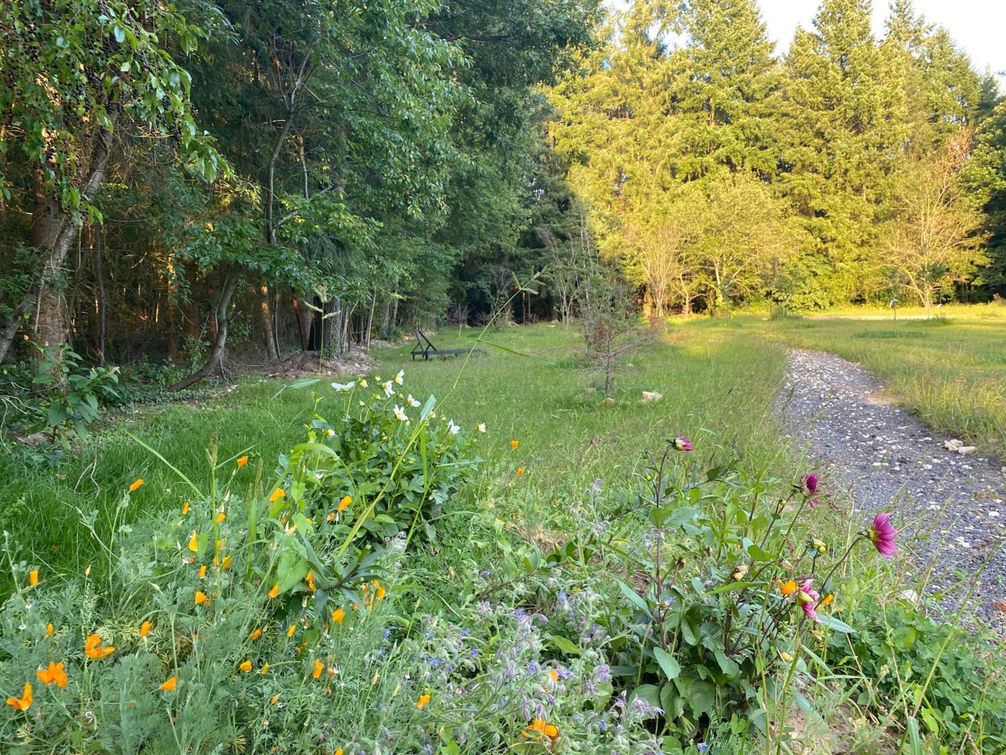 Maison Dans Parc Prive, Sports Et Loisirs Proche Golf Du Coudray Montceaux Le Coudray-Montceaux Luaran gambar
